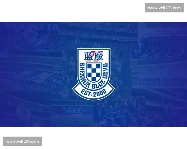 申花锋线四大天王记：蓝魔心中的马莱莱传说